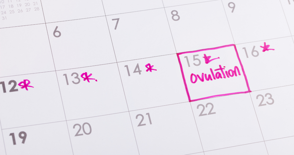 How do I know when I’m ovulating?
